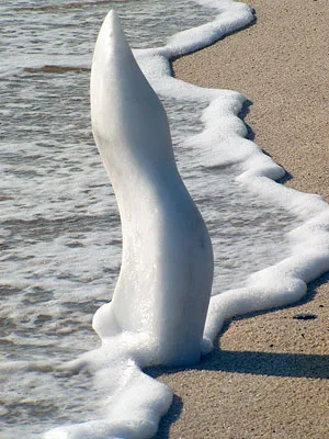 Flame, 2007