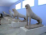 Gallery 6